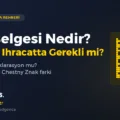 EAC Belgesi Nedir? Rusya’ya İhracatta Gerekli mi? (2026 Rehberi)