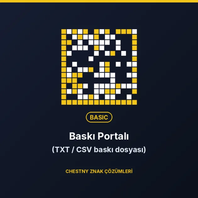 Chestny Znak Baskı Portalı Basic — TXT/CSV baskı dosyası
